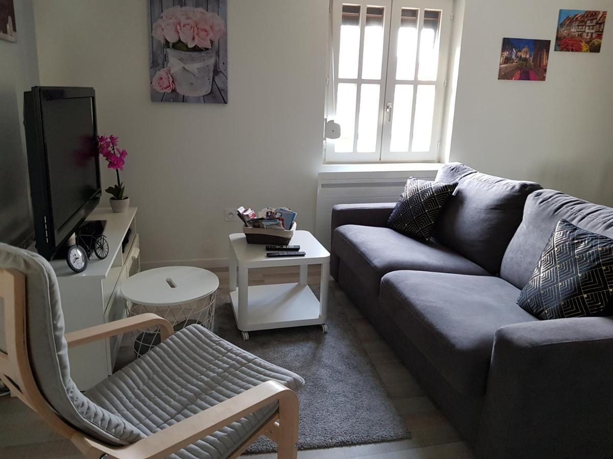 Le Cocon De Tom Apartment Colmar Exterior photo